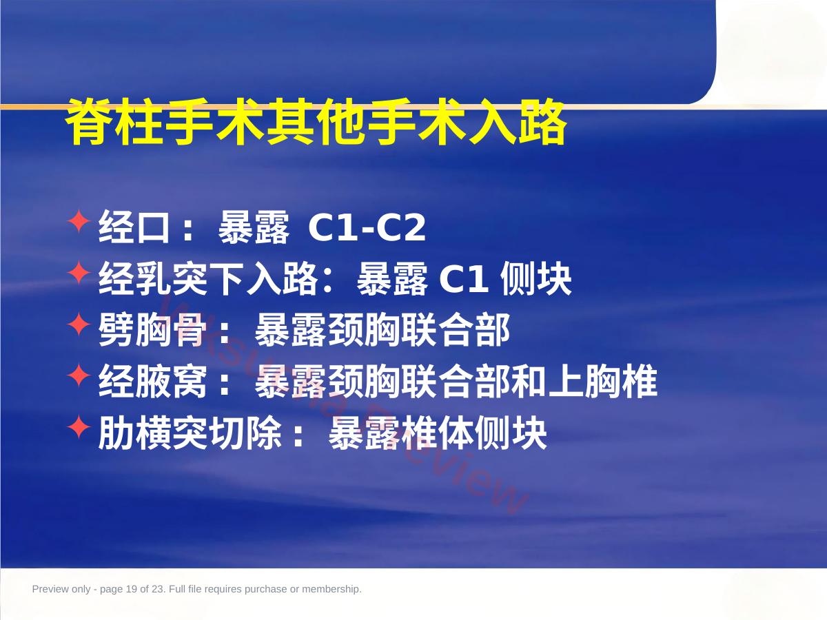 预览第 19 页