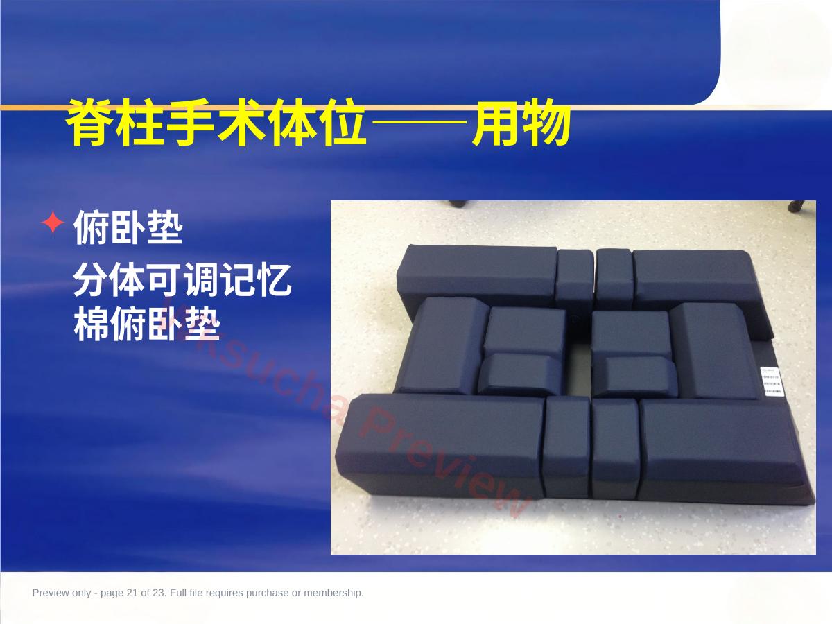 预览第 21 页