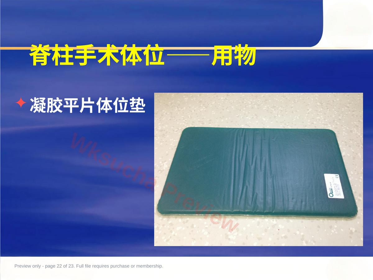 预览第 22 页