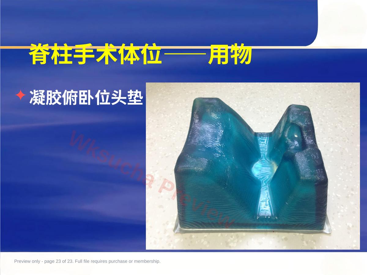 预览第 23 页