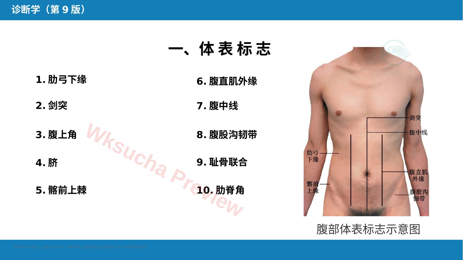 预览第 5 页