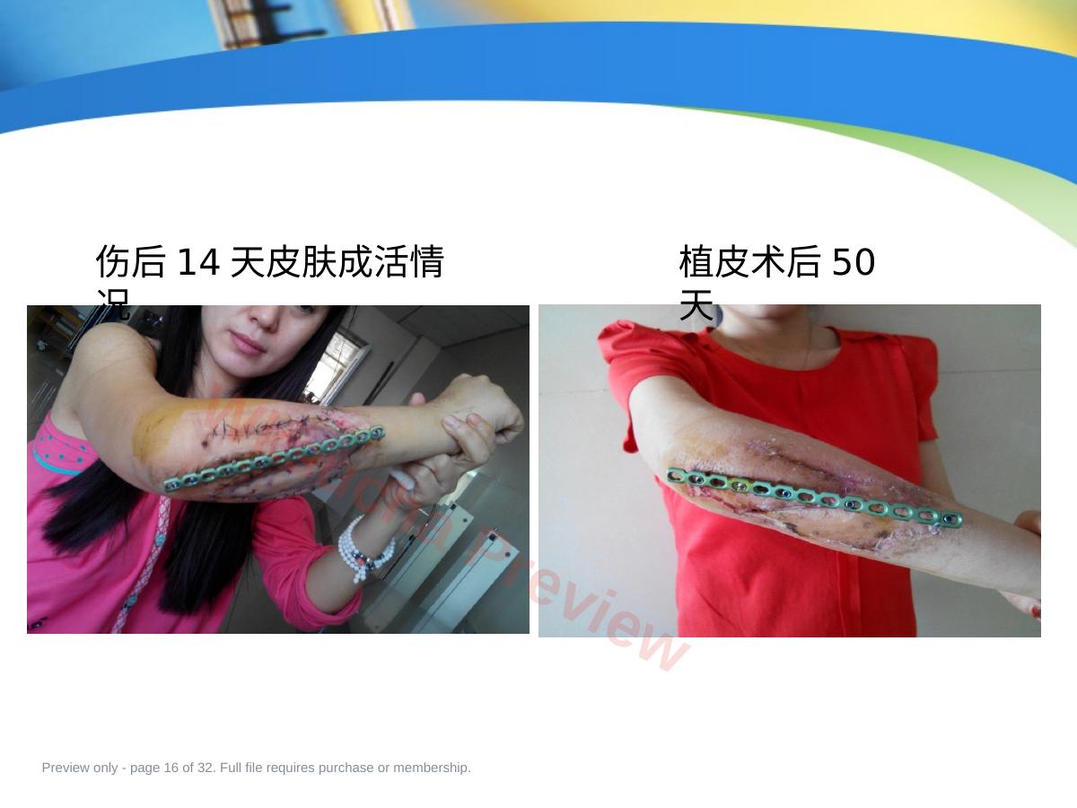 预览第 16 页