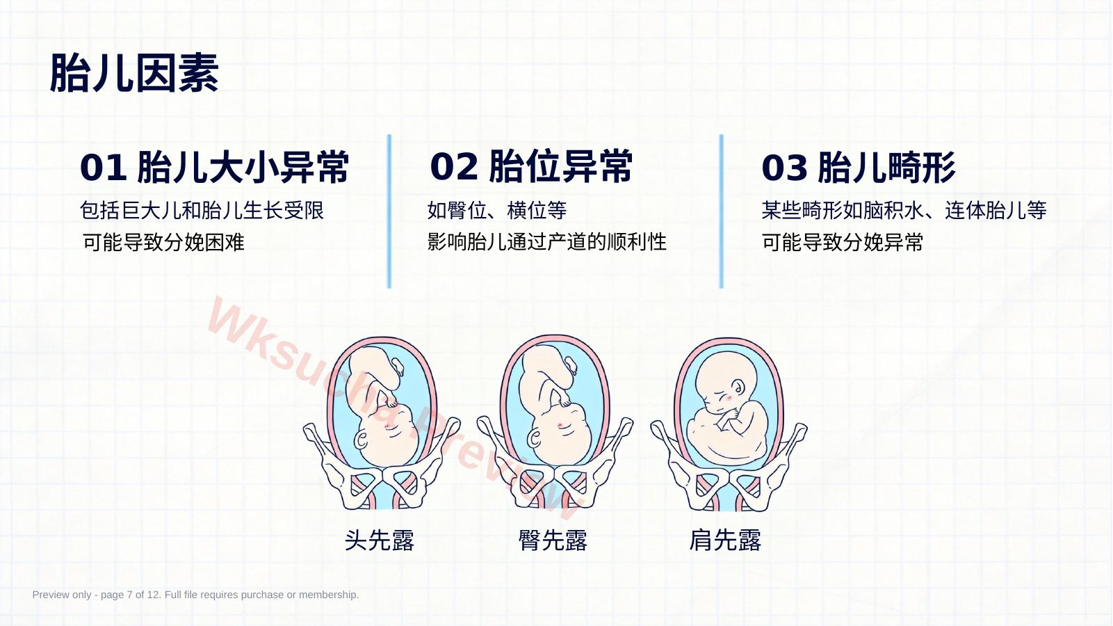 预览第 7 页