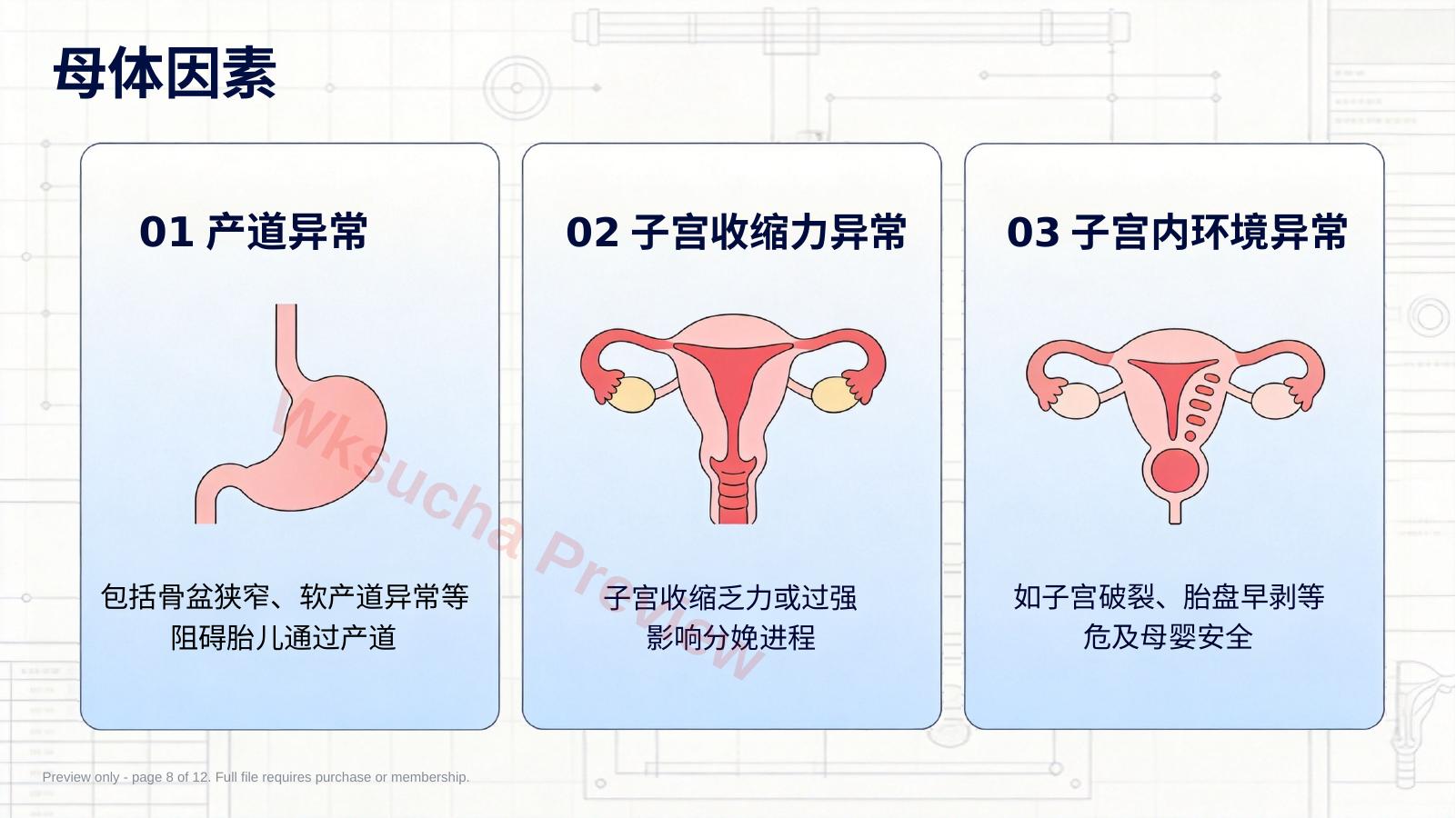 预览第 8 页