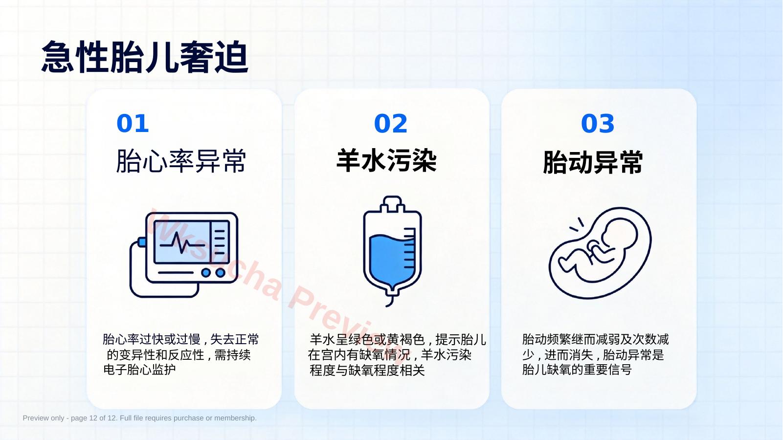 预览第 12 页