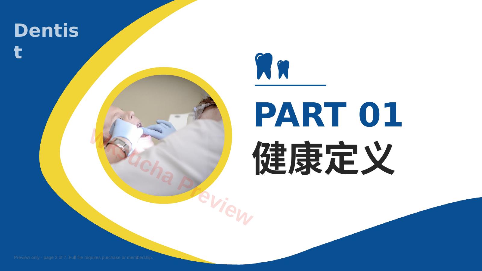 预览第 3 页