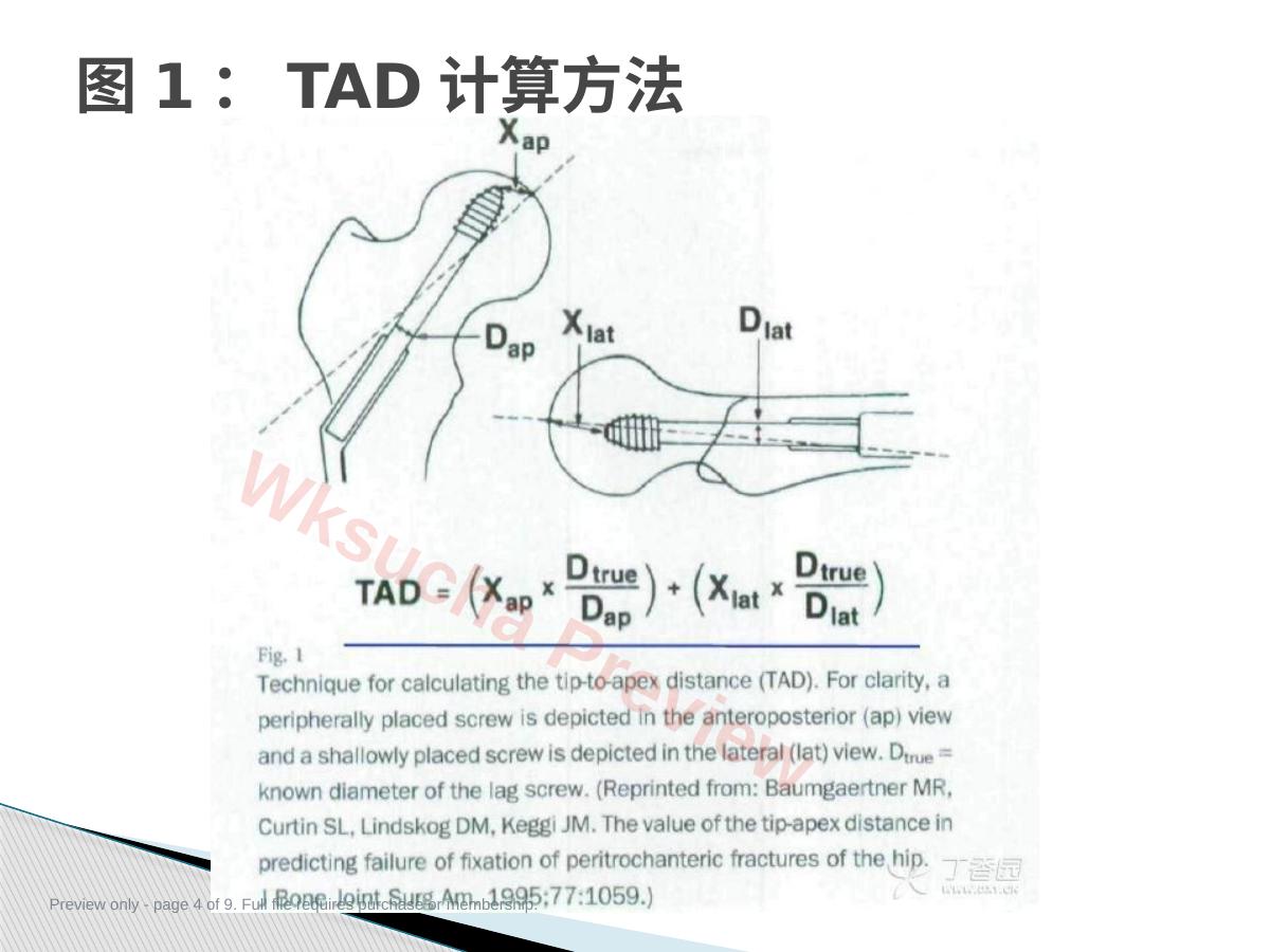 预览第 4 页