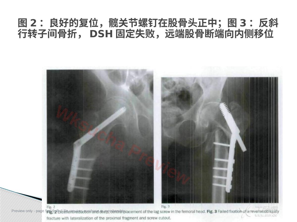 预览第 5 页