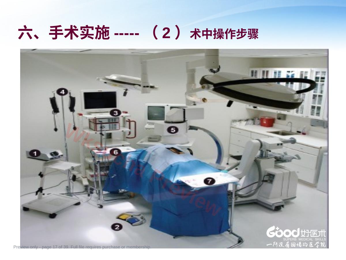 预览第 17 页