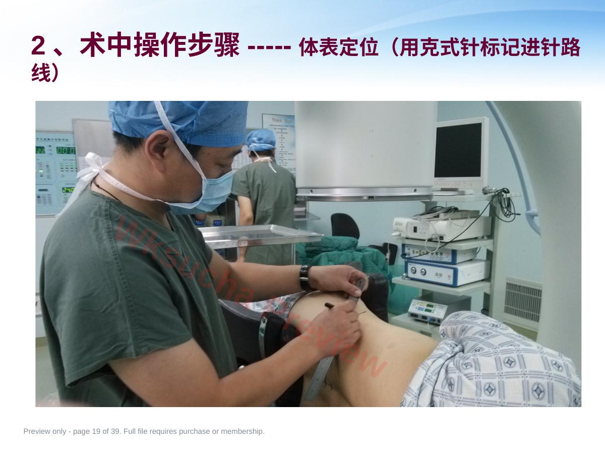 预览第 19 页