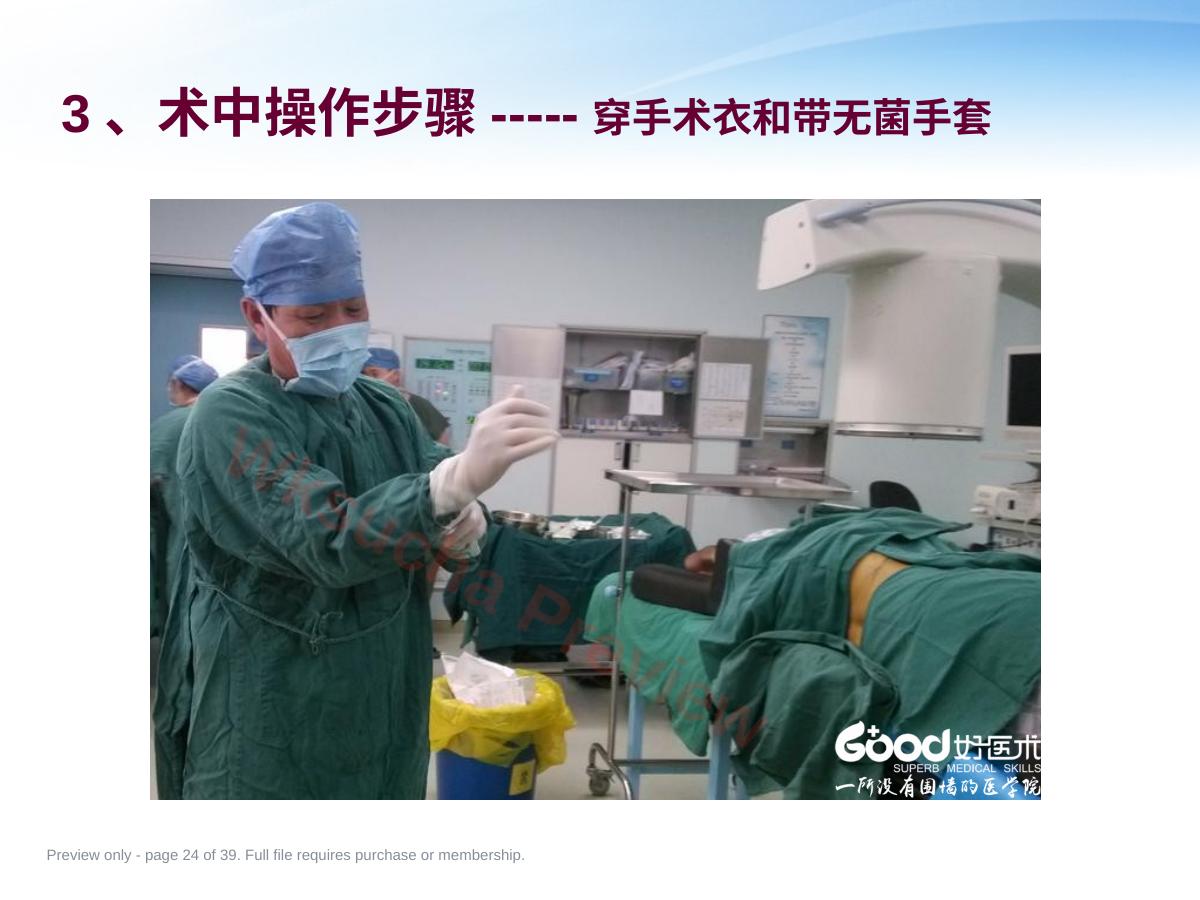 预览第 24 页