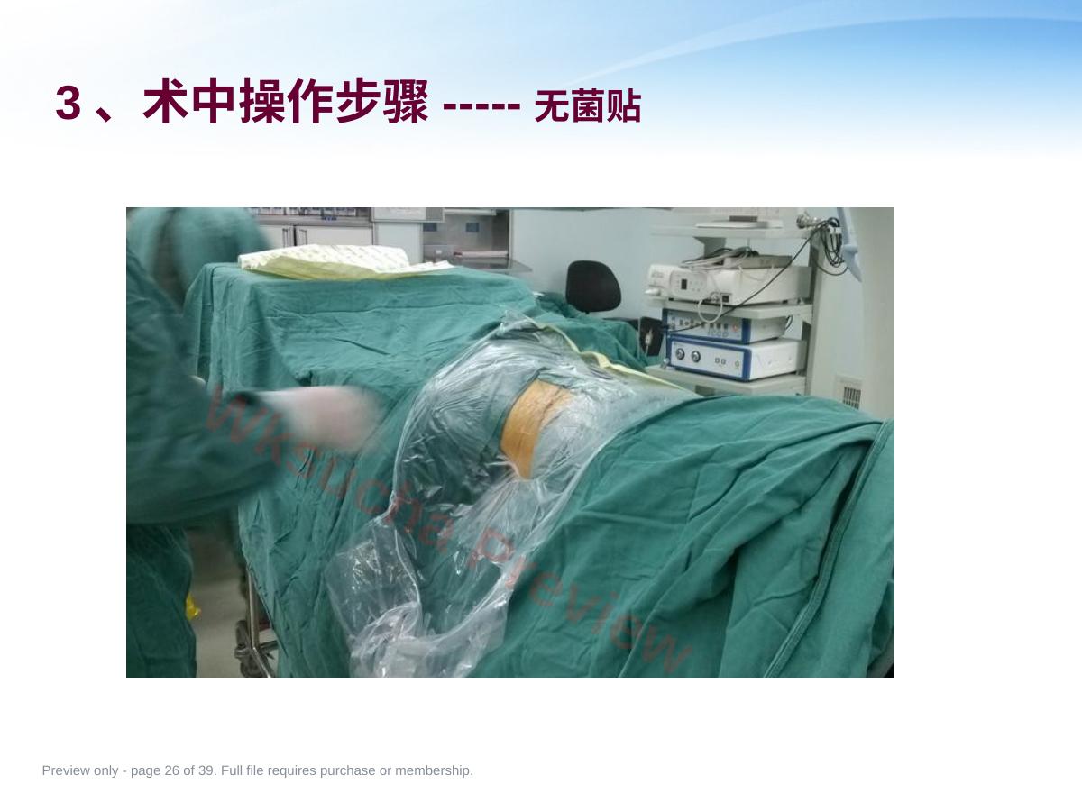 预览第 26 页