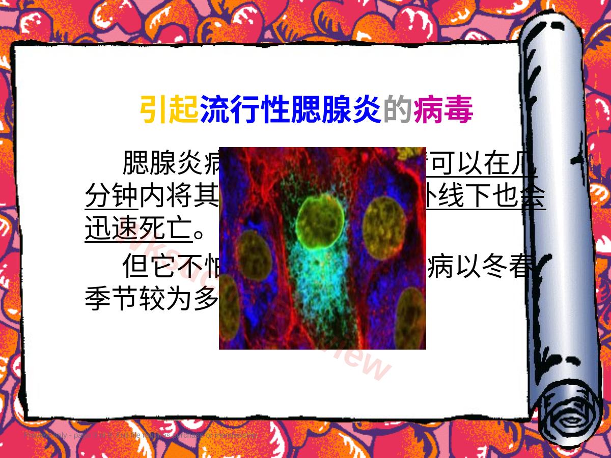 预览第 3 页