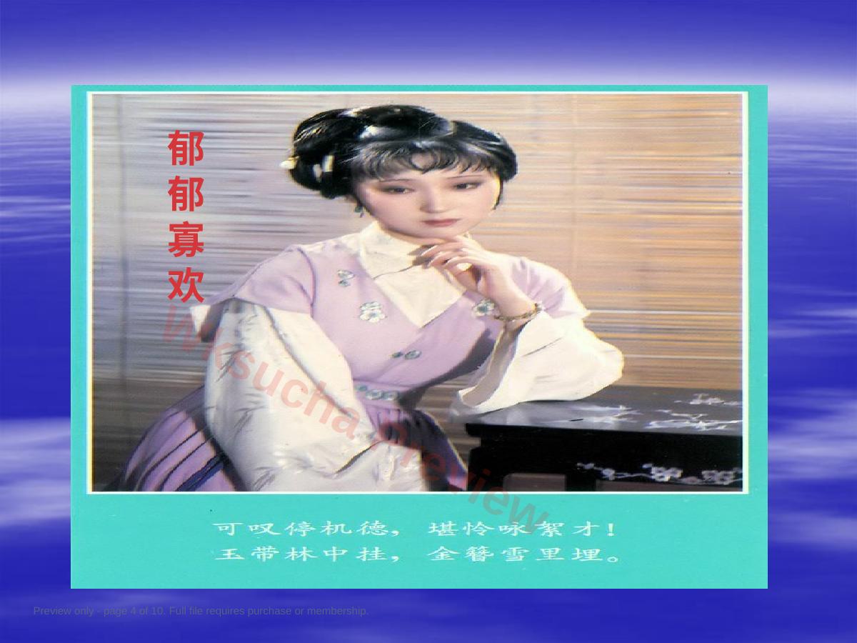 预览第 4 页