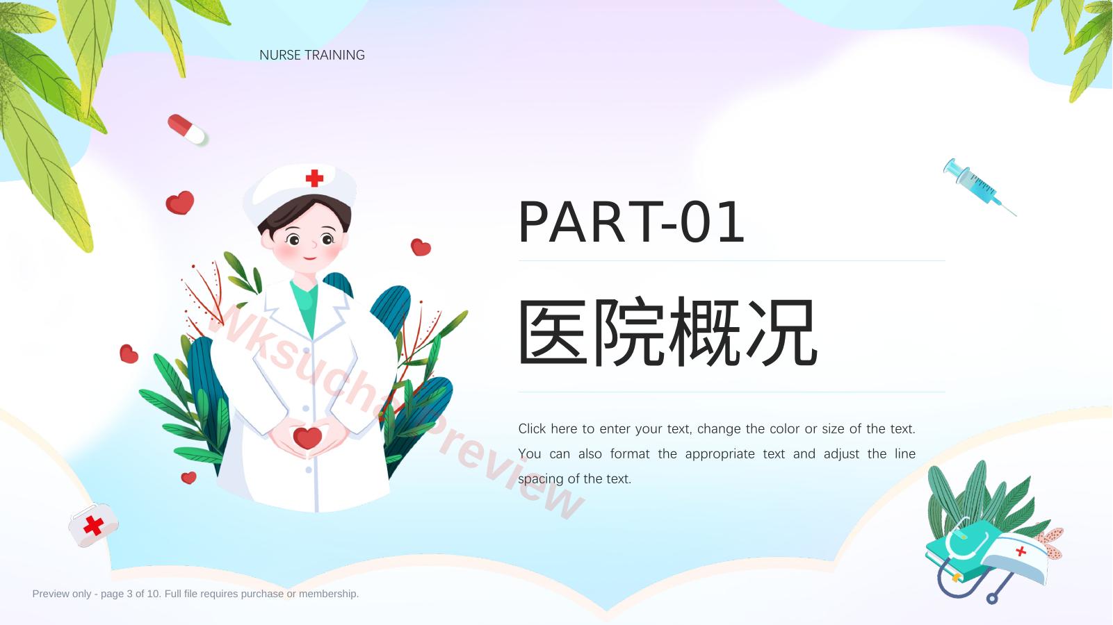预览第 3 页