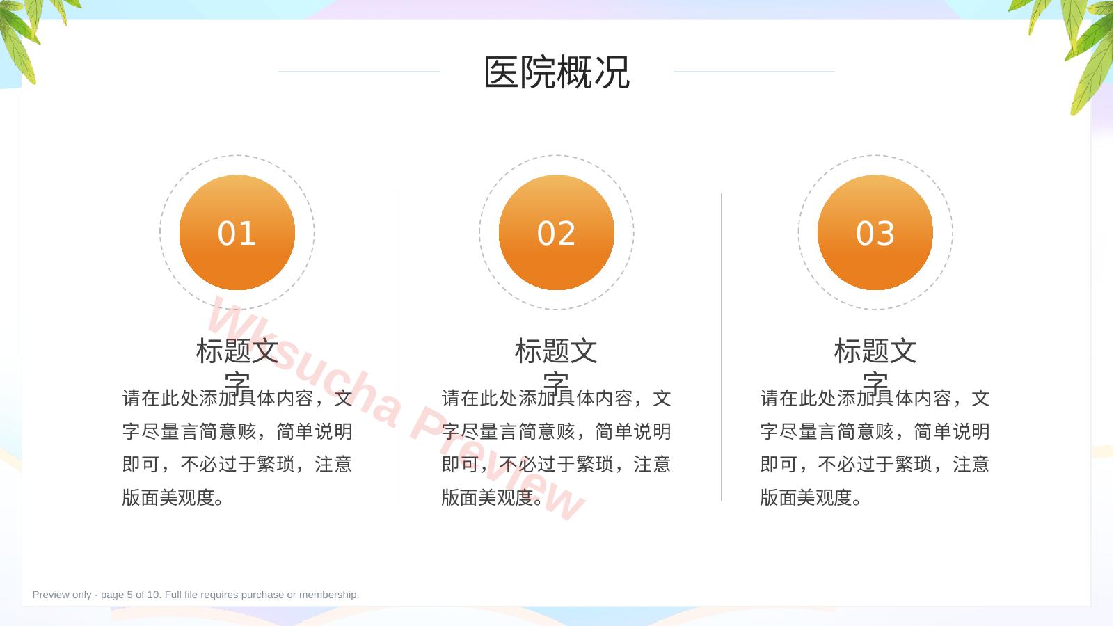 预览第 5 页