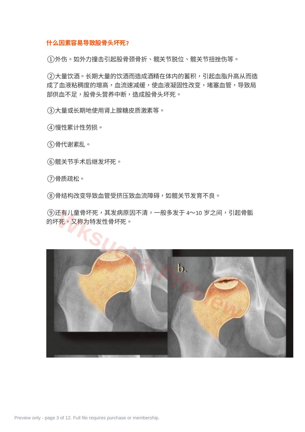 预览第 3 页