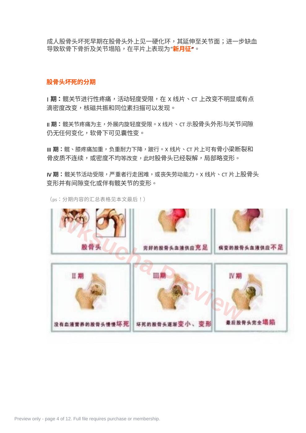 预览第 4 页
