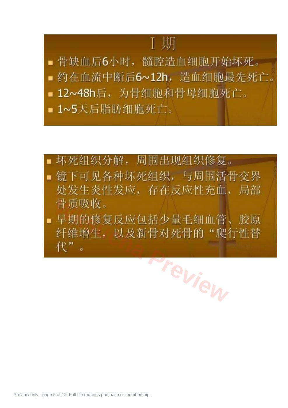 预览第 5 页