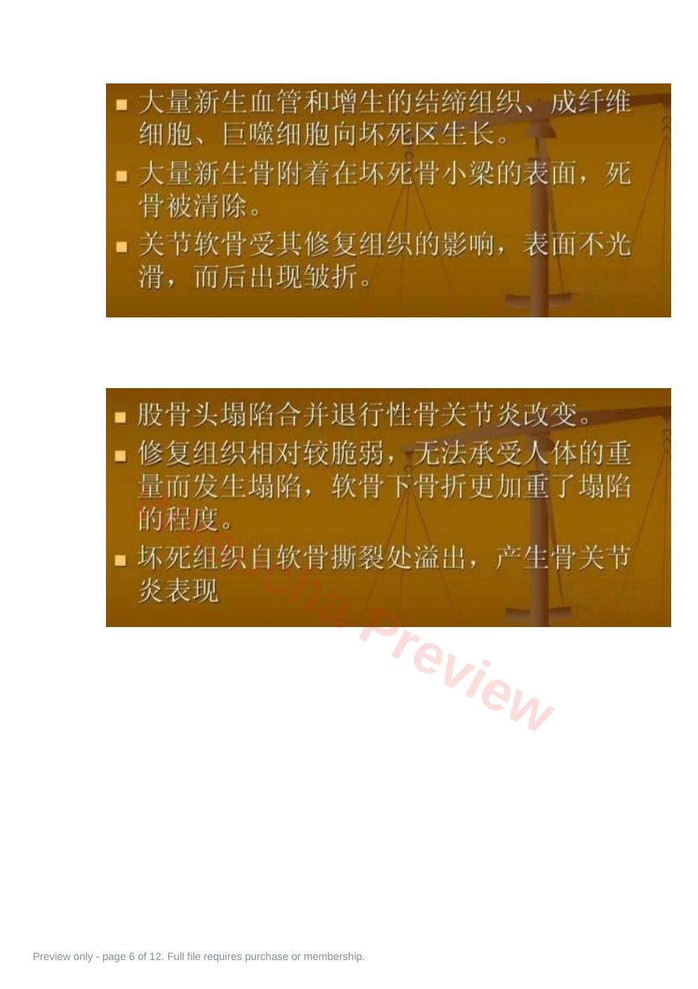 预览第 6 页