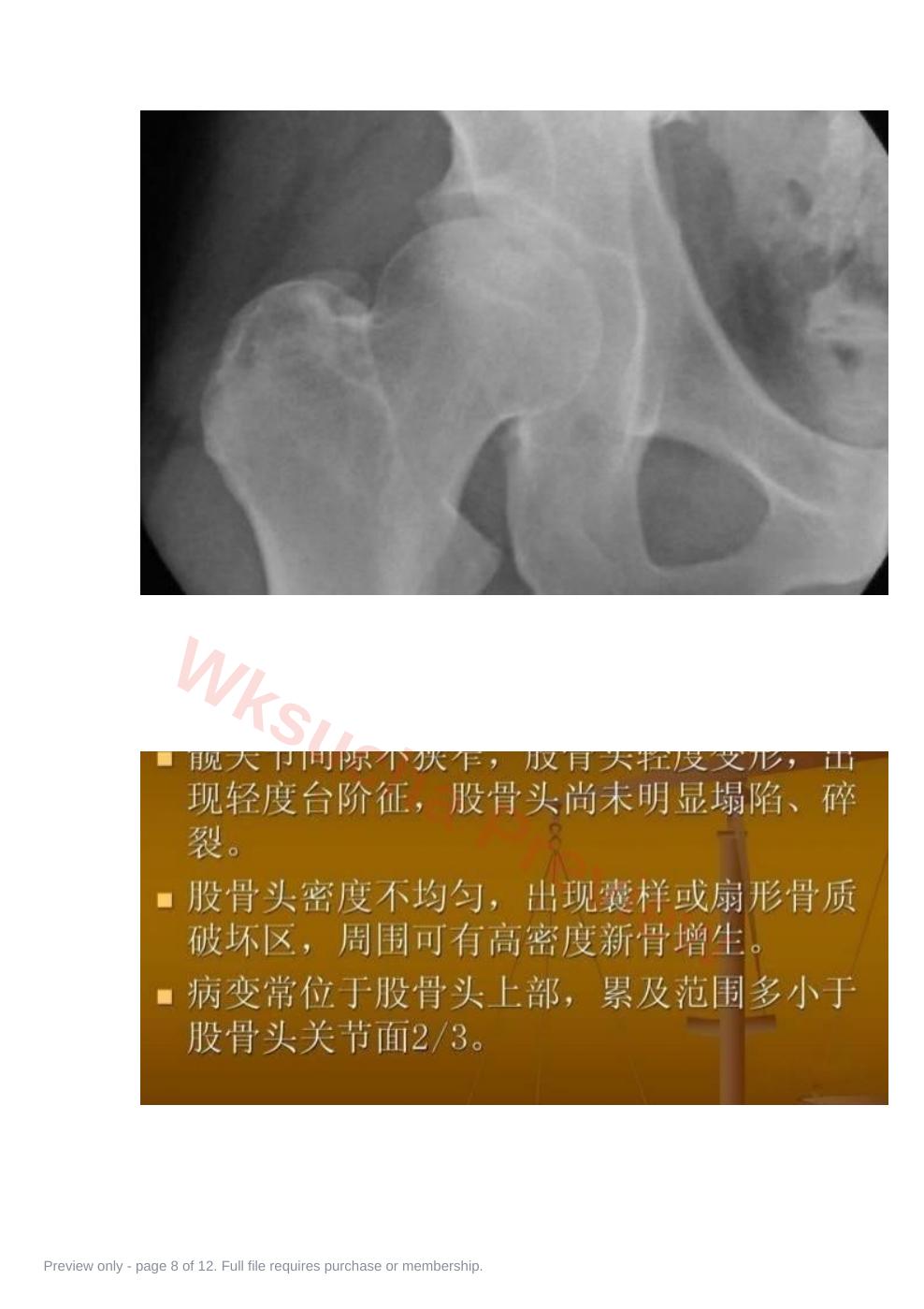 预览第 8 页