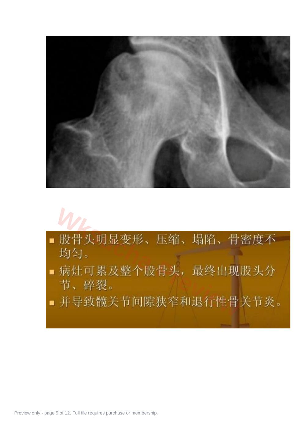 预览第 9 页