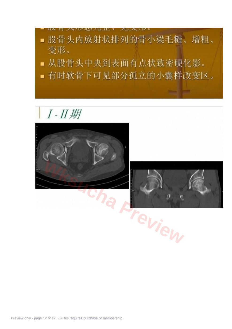 预览第 12 页
