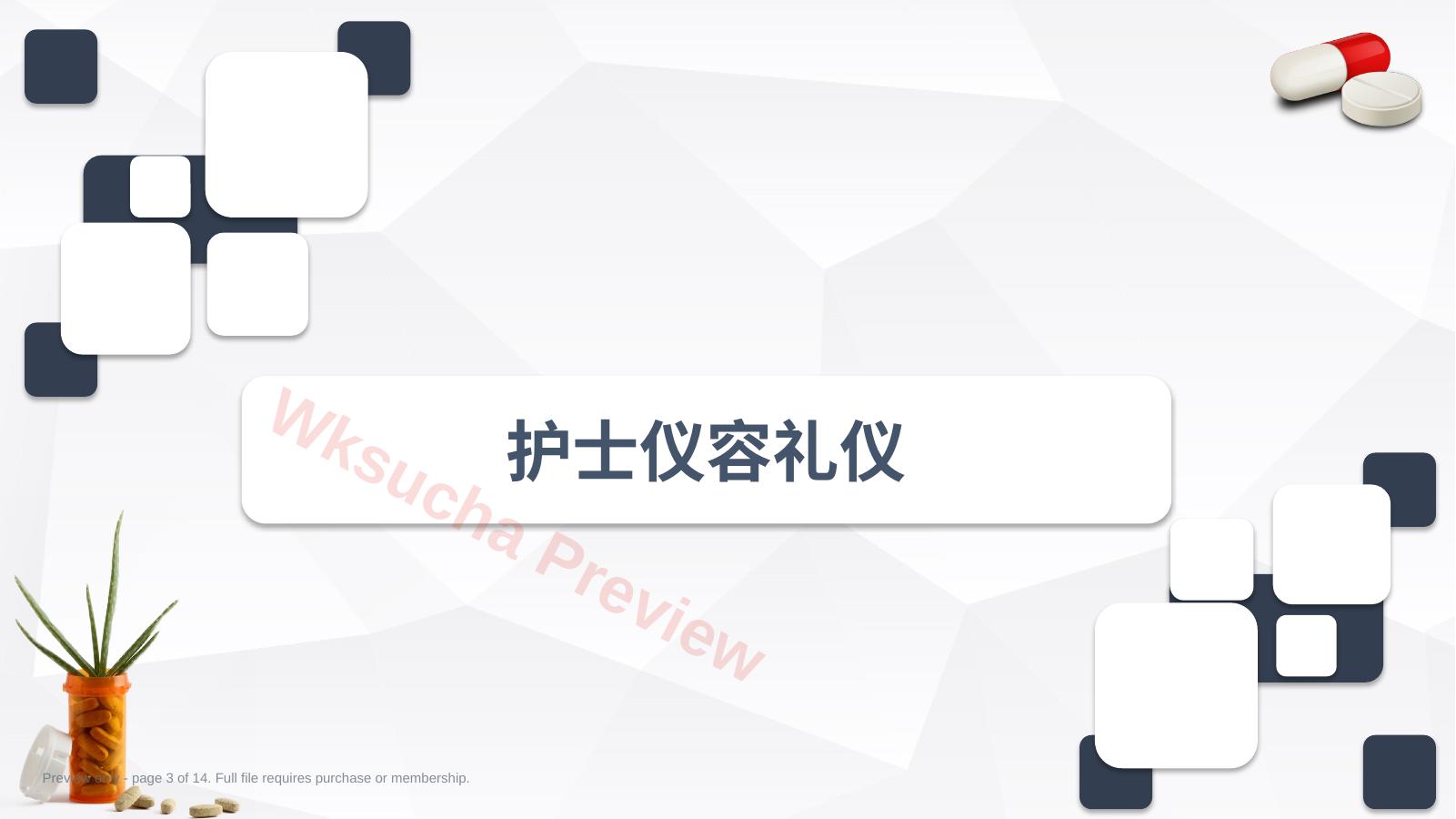 预览第 3 页