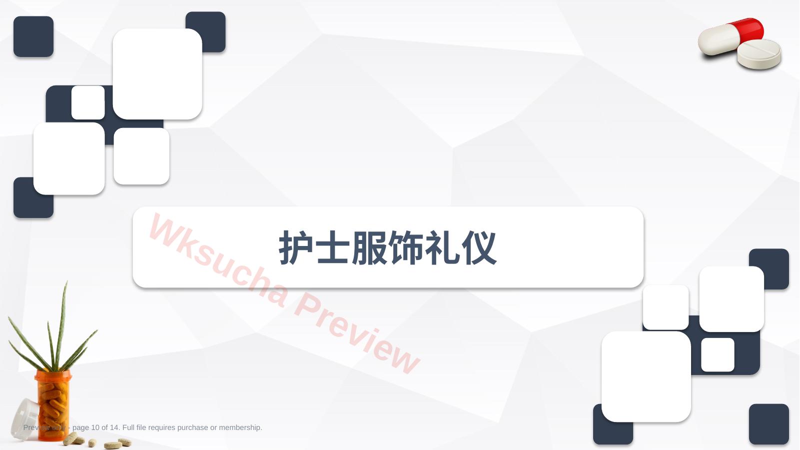 预览第 10 页