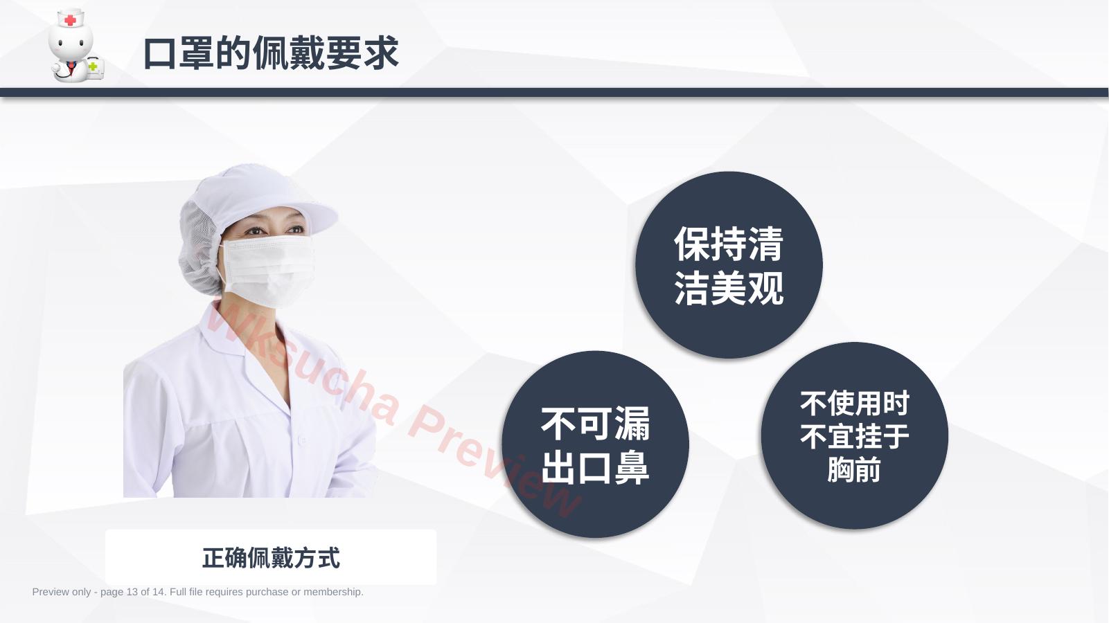 预览第 13 页