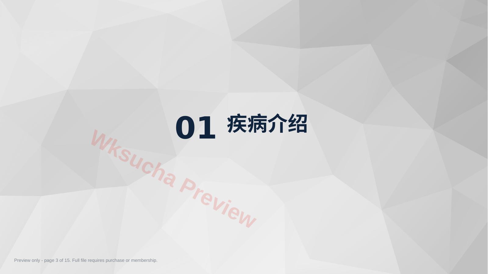 预览第 3 页