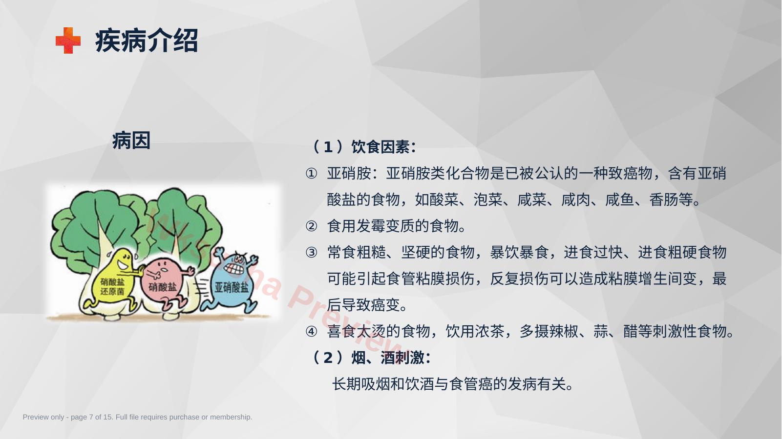 预览第 7 页