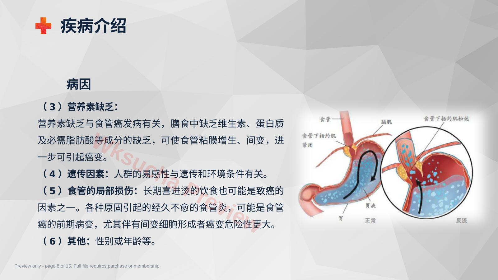 预览第 8 页