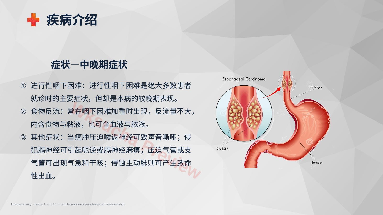 预览第 10 页