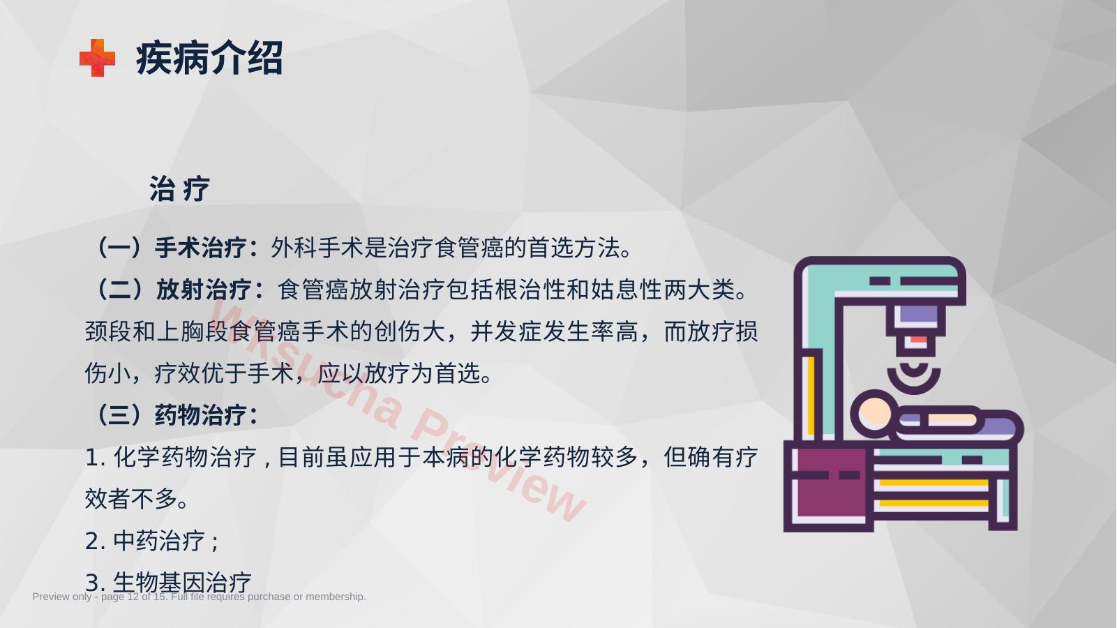 预览第 12 页