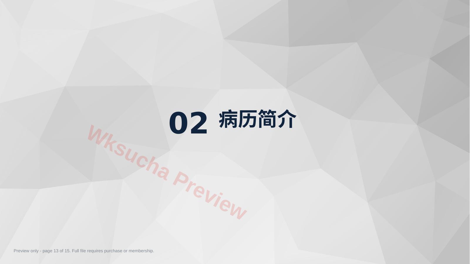 预览第 13 页