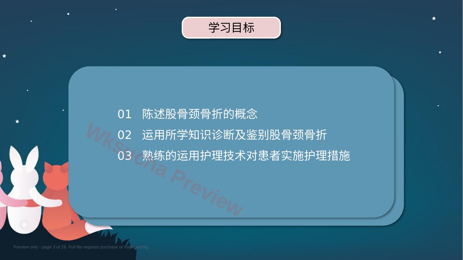 预览第 3 页
