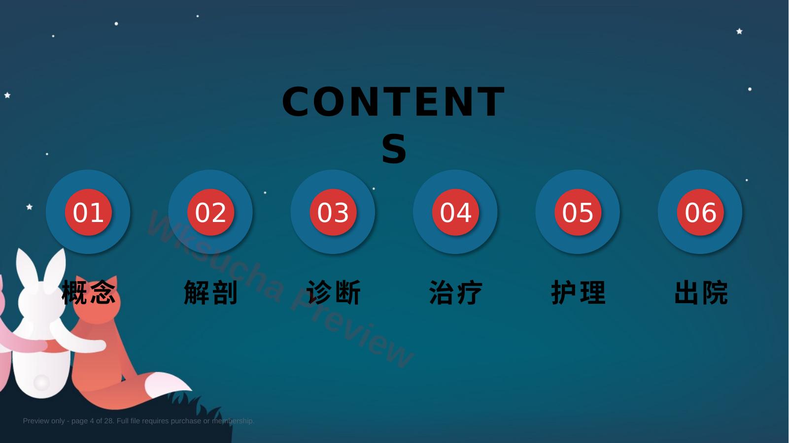 预览第 4 页