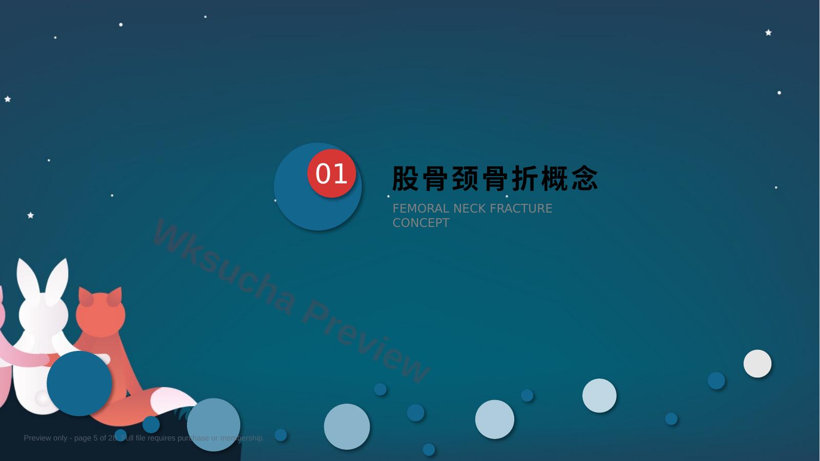 预览第 5 页