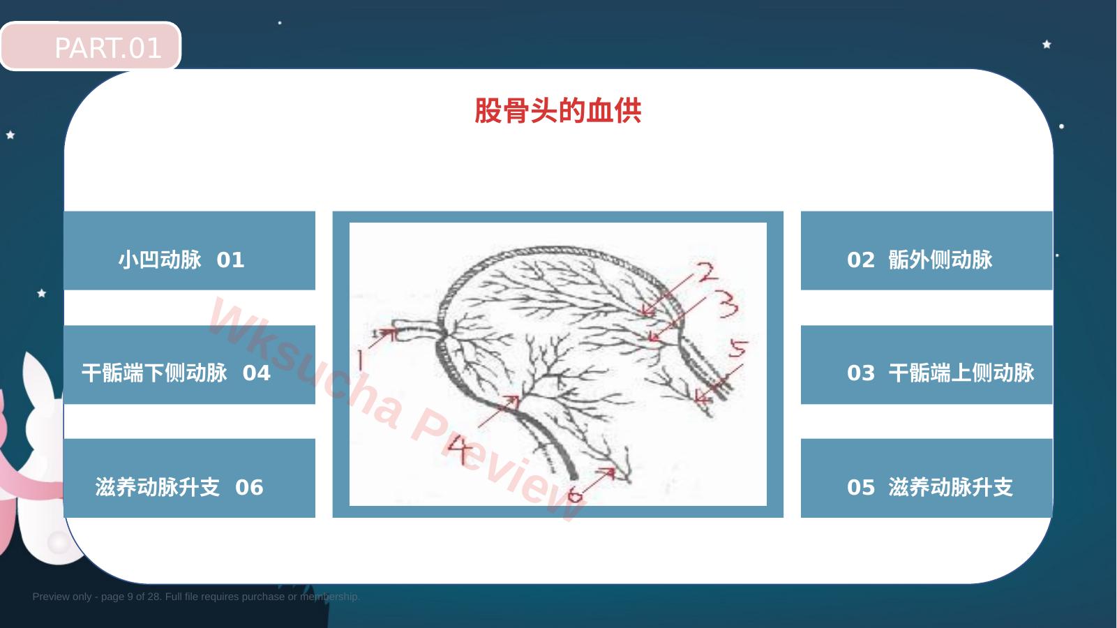 预览第 9 页
