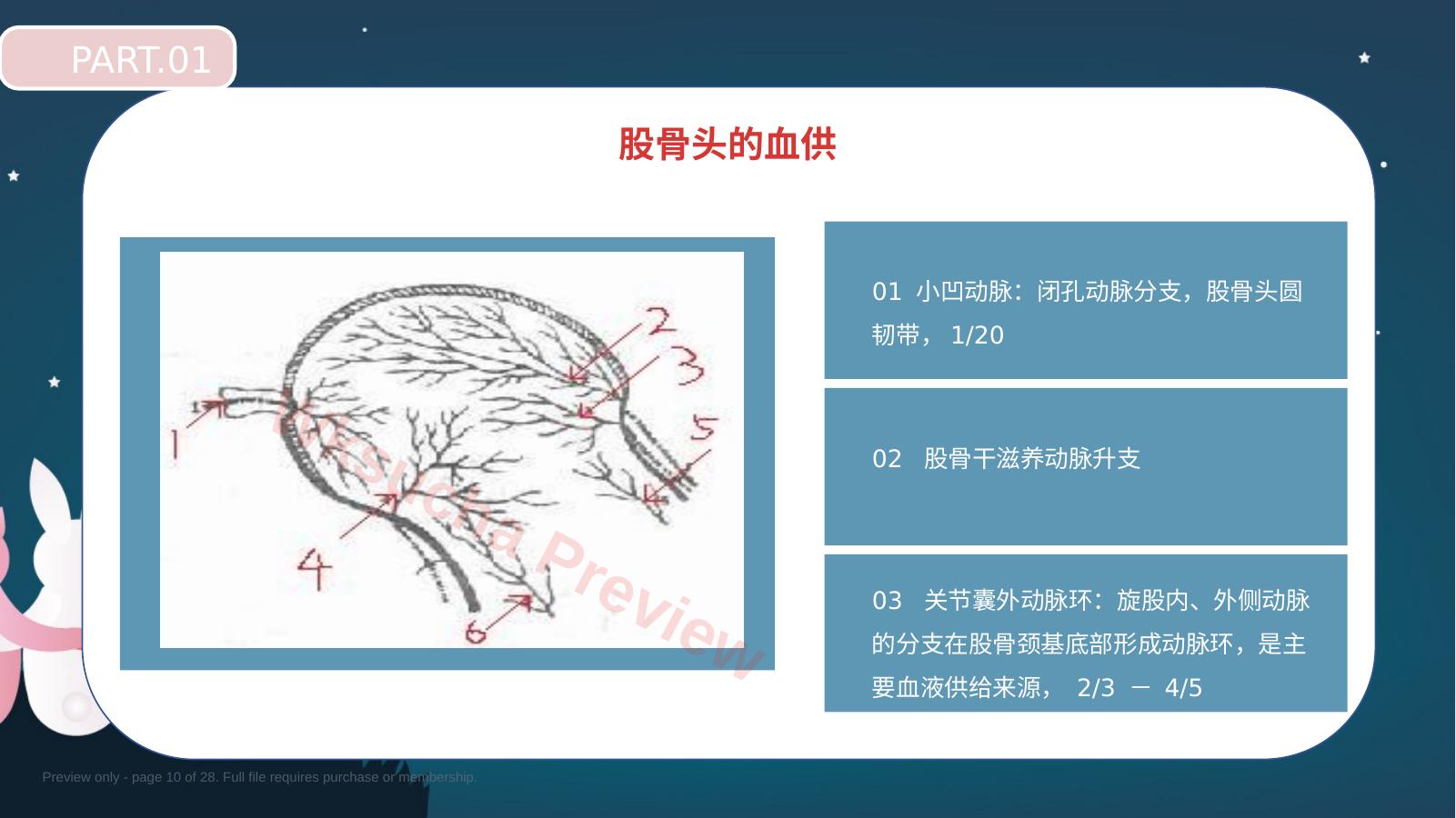 预览第 10 页