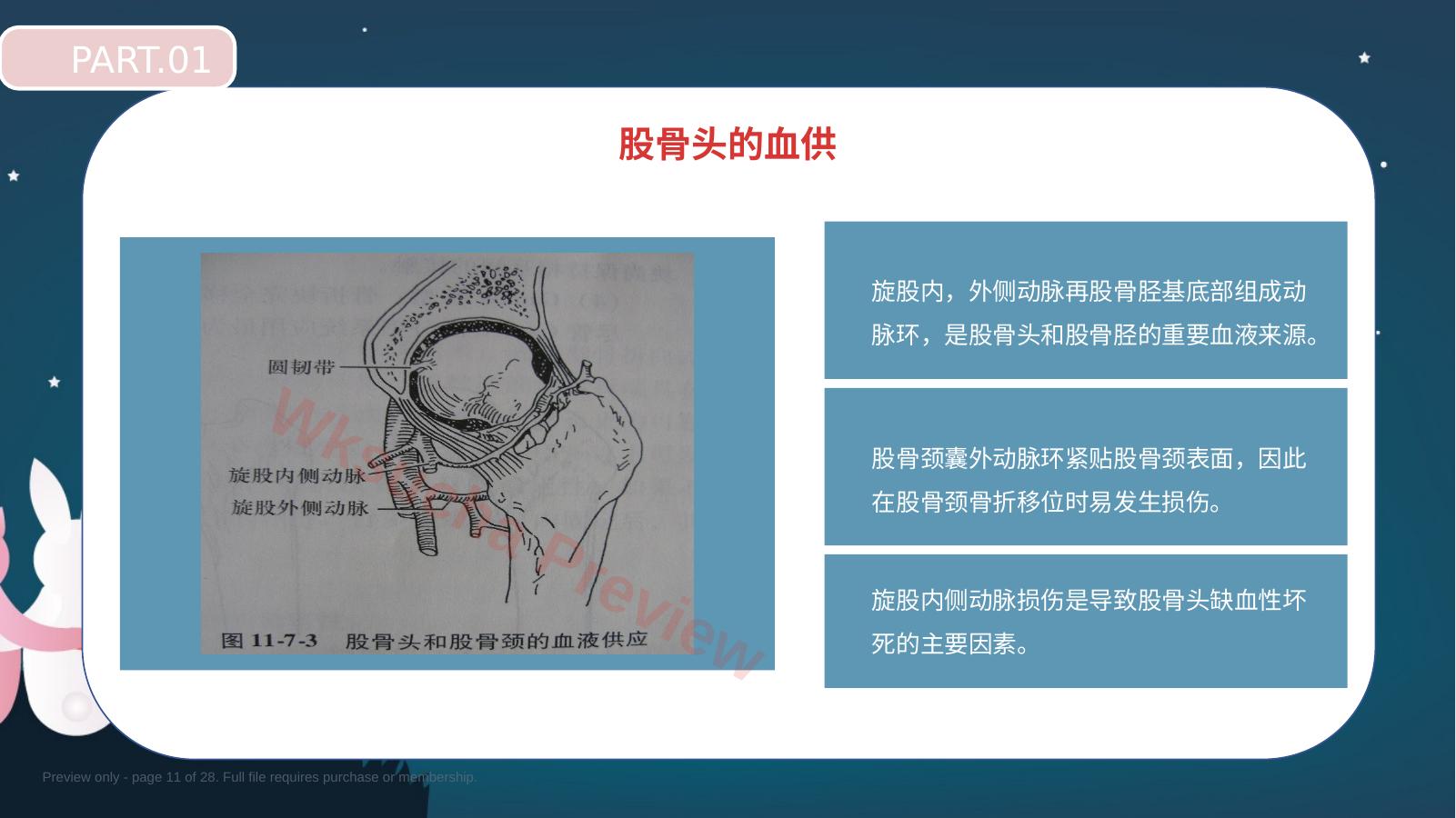 预览第 11 页