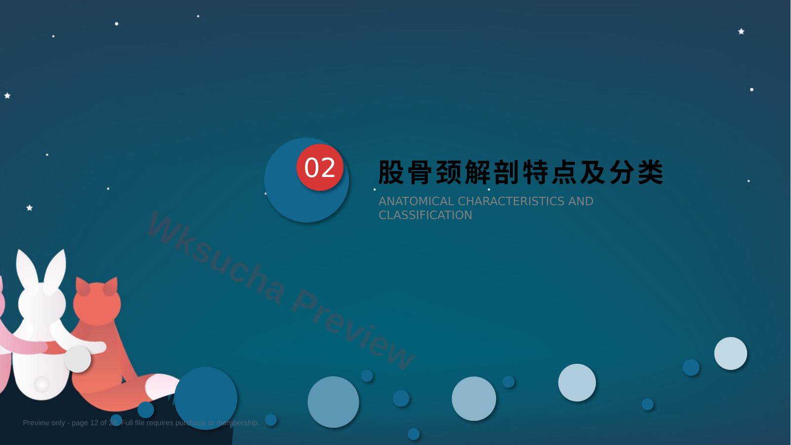 预览第 12 页