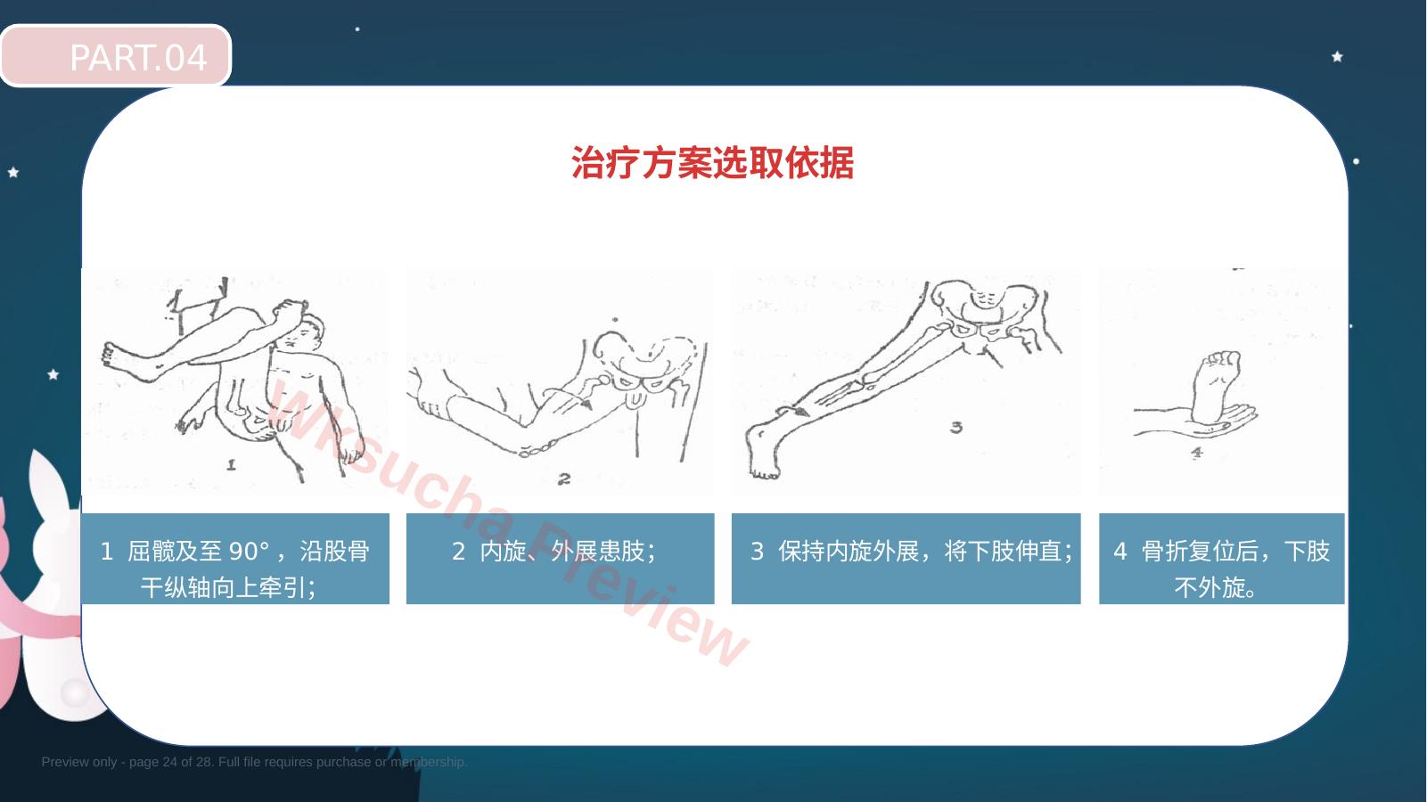 预览第 24 页