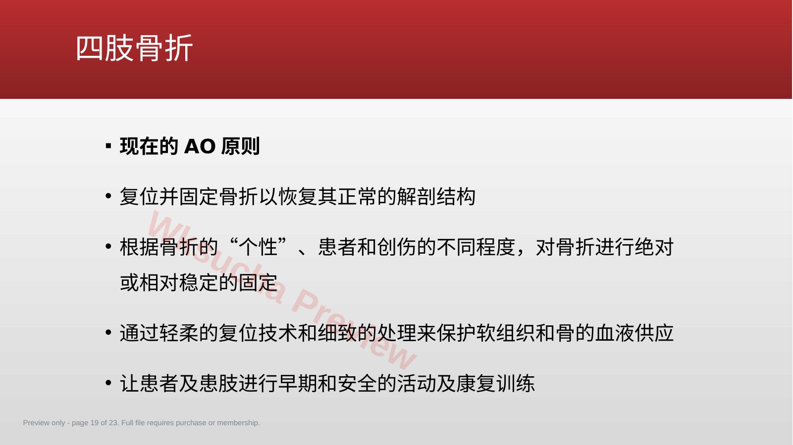 预览第 19 页