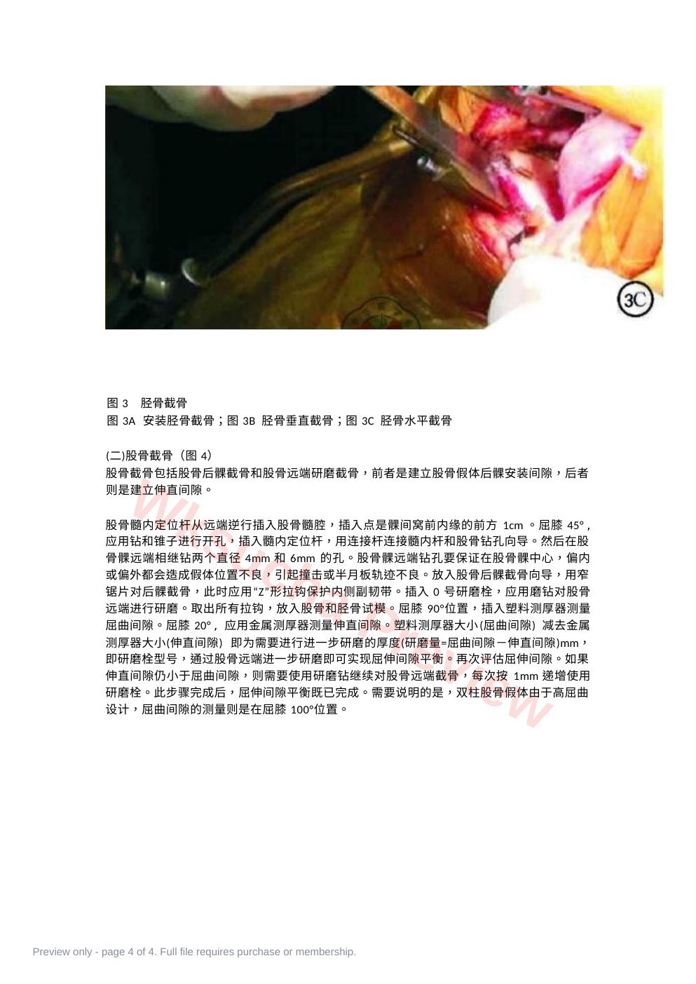 预览第 4 页