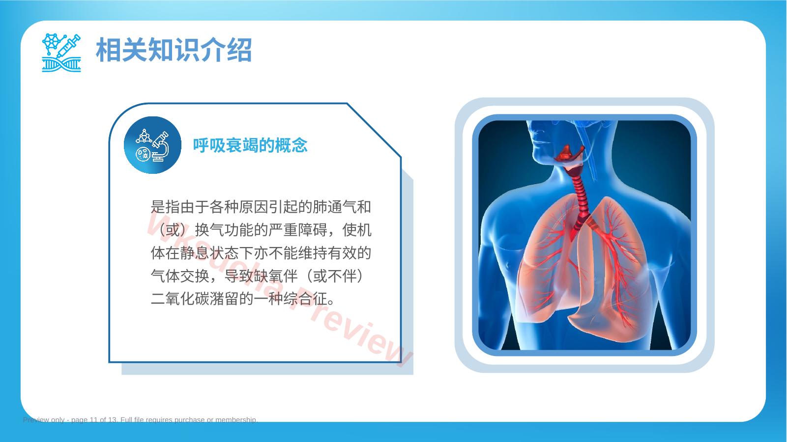 预览第 11 页