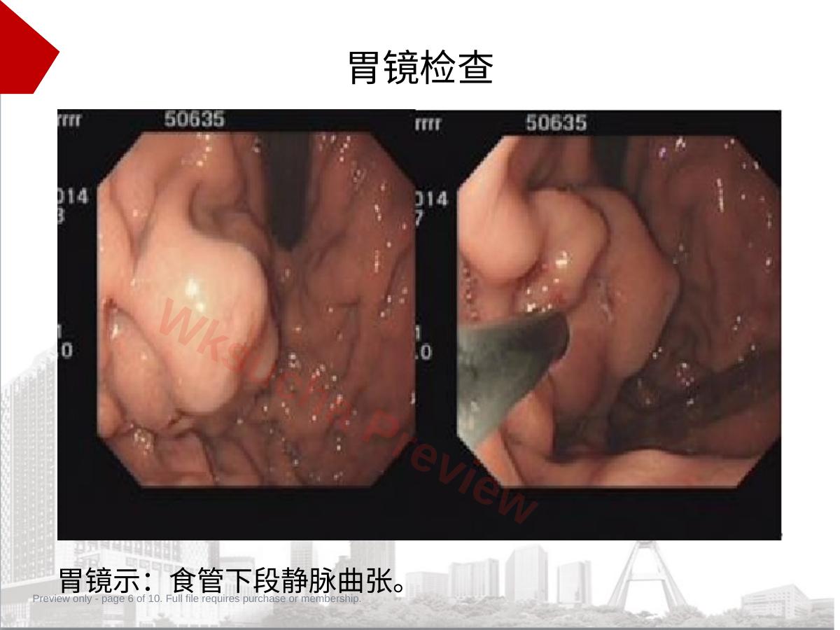 预览第 6 页