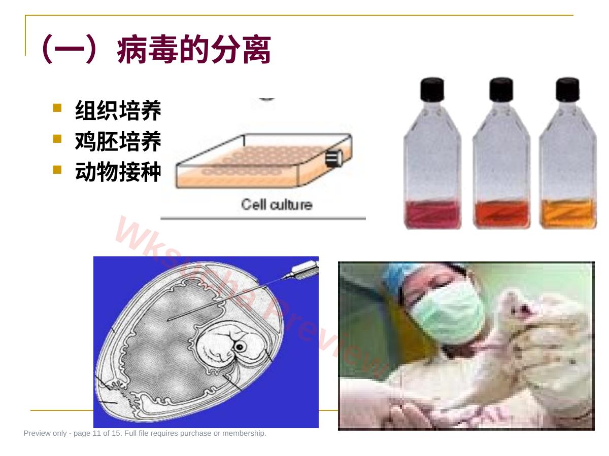 预览第 11 页