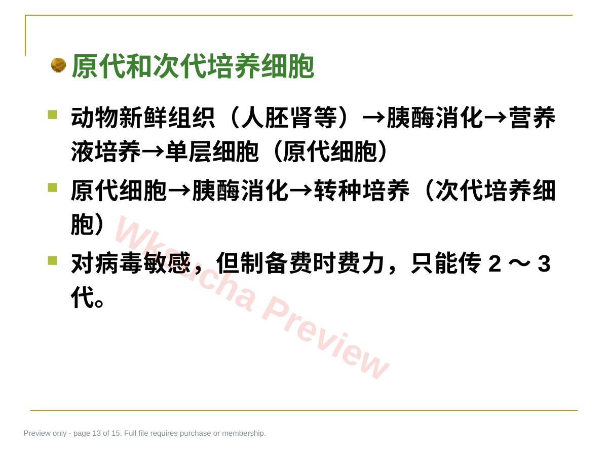 预览第 13 页